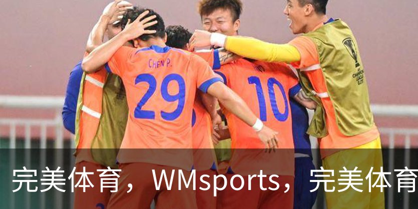完美体育，WMsports，完美体育官方，完美体育平台，完美体育下载概况